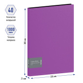 Папка с 40 вкладышами Berlingo "Color Zone", 21мм, 1000мкм, фиолетовая