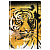   Ежедневник недатированный А5, 128л., 7БЦ, BG "Golden tiger", матовая ламинация, на резинке